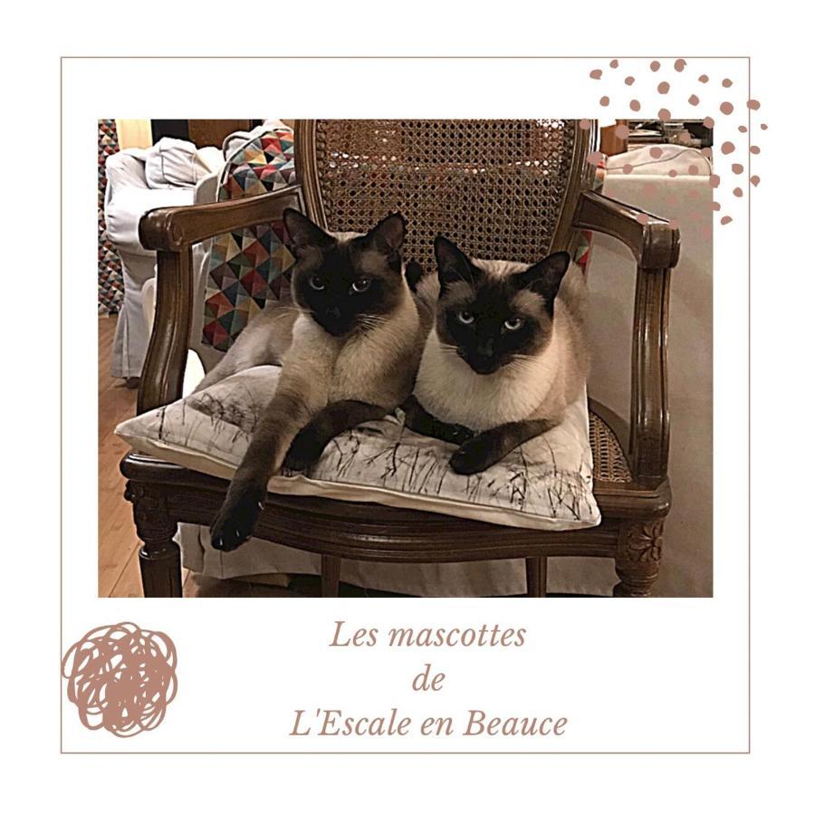 L Escale En Beauce Maisons (Eure-et-Loire) Exterior foto